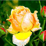 Digital Oil Painting – Modern Home Wall Art for Living Room, Bedroom, Office, and Interior Decoration