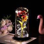Enchanted Forever Rose in Glass LED Light – Romantic Christmas Decoration, Holiday Home Ornament Gift