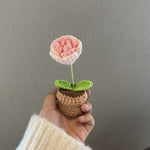 Hand Woven Mini Potted Flowers – Small Artificial Plants in Basket, Cute Home Decor for Desk, Bedroom & Living Room