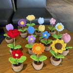 Hand Woven Mini Potted Flowers – Small Artificial Plants in Basket, Cute Home Decor for Desk, Bedroom & Living Room