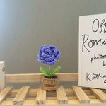 Hand Woven Mini Potted Flowers – Small Artificial Plants in Basket, Cute Home Decor for Desk, Bedroom & Living Room